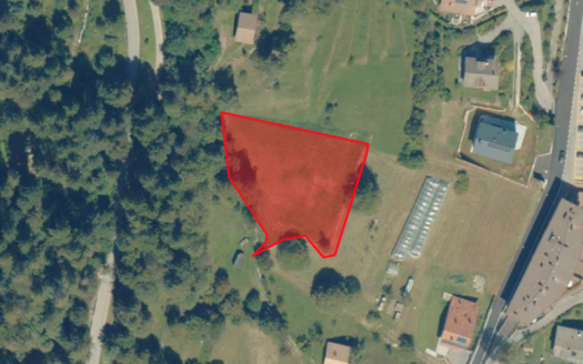 Terreno agricolo a Tione