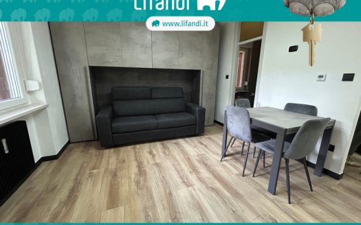 Monolocale ristrutturato