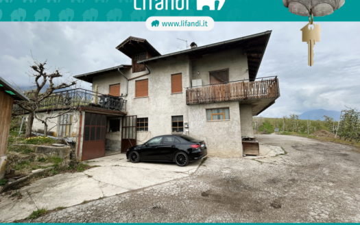 Casa singola con terreno