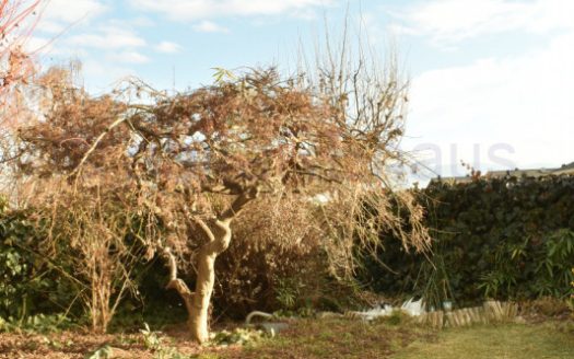 Villetta di testa a Settequerce con giardino privato e vasca idromassaggio AV26001