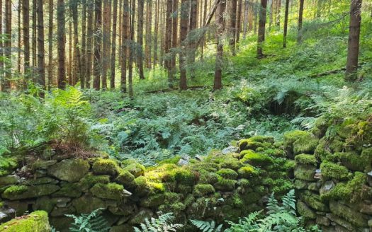 Rudere in vendita in Val di Breguzzo
