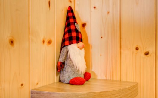 BILOCALE CON VISTA SULLA VAL DI SOLE