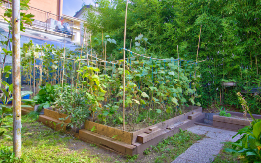 Casa singola quadrifamiliare a Borgo Sacco