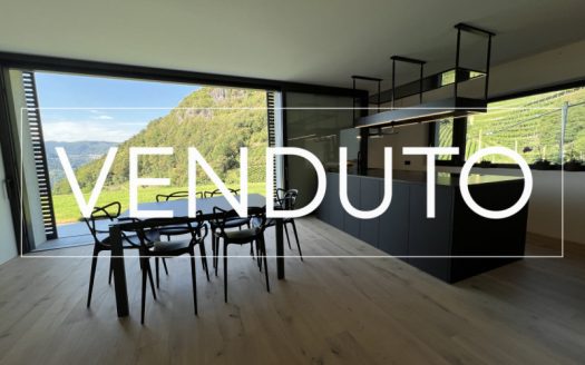 CEMBRA – CASA SINGOLA IMMERSA NEL VERDE CON VISTA PANORAMICA – 3 APPARTAMENTI