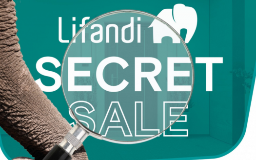 Capannone artigianale con 2 Appartamenti