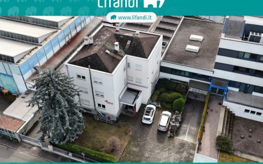 Cappanone con uffici e 2 appartamenti