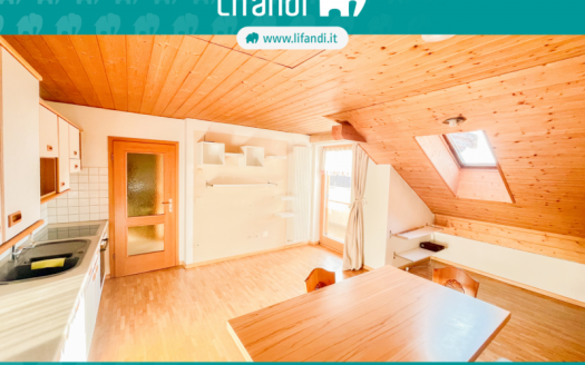 Bilocale con cantina