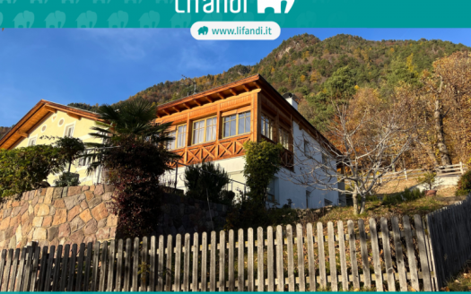 Casa a schiera angolare con 4 unità abitative in vendita