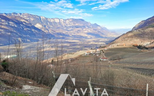 Ristorante Perkeo in affitto a Salorno