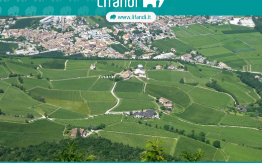 Egna – il tuo nuovo trilocale in posizione ideale