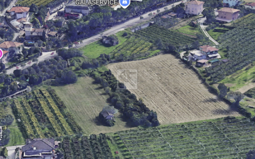 TERRENO AGRICOLO IN LOC. MOLETTA