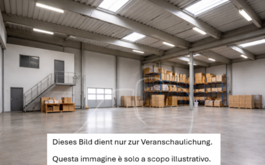 Capannoni industriali in affitto a Lana
