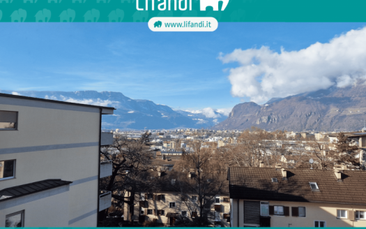 Trilocale con cantina