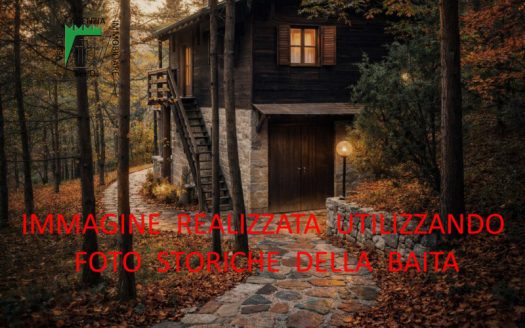 A Priò vendiamo ruderi di baita in ampia tenuta boschiva