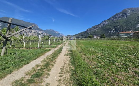 VENDERSI TERRENO AGRICOLO