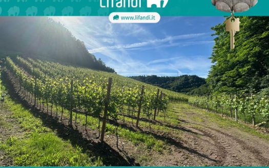 Appiano/Vigneto Lagrein