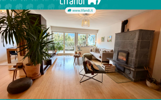 Trilocale o possibile quadrilocale