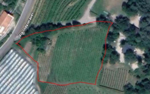 Vigneto a Cortaccia/Corona – 3.354 m² – Viti di Müller-Thurgau