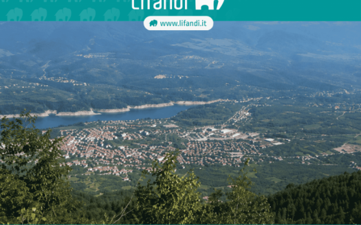 Terreno edificabile