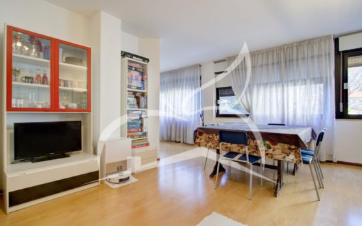 TRILOCALE VICINO AL CENTRO
