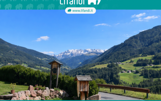 Ortisei Trilocale con giardino