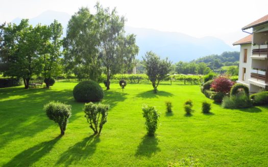 Posto letto in stanza doppia in splendido contesto