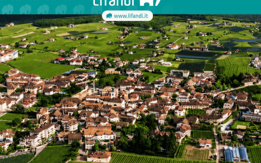 Trilocale con cantina e posto auto