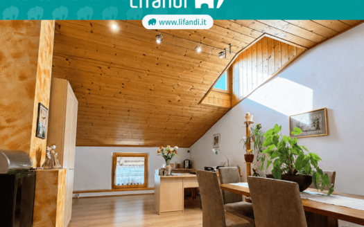 Duplex con ampia cantina