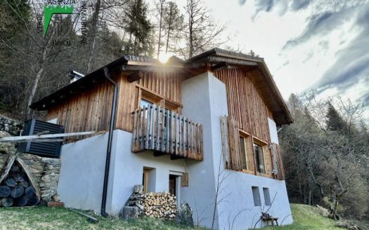 VAL DI RABBI LOCALITA’ MASI DE SORA PRACORNO VENDIAMO MASO
