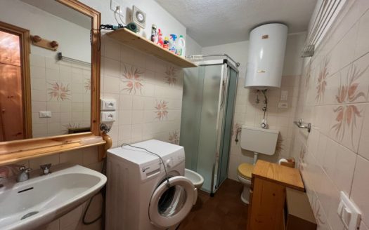 Affitto Incantevole Appartamento Bilocale a Canazei, Zona Penia
