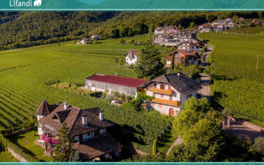 APPIANO – MONTE – Posizione panoramica con potenziale