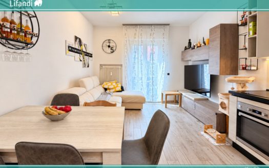 Trilocale completamente ristrutturato con balcone e cantina